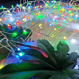 Trong nhà-ngoài trời thông minh RGB <span class=keywords><strong>LED</strong></span> Strip Lights RGB điểm kiểm soát dây đồng giáng sinh chuỗi Lights IP65 cho thời tiết kháng - Product Image 3