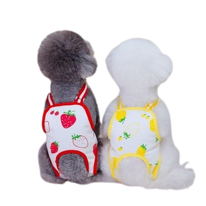 מפעל-תות הסיטונאי & אננס כלב מכנסיים פיזיולוגיים-האביב & קיץ חיית מחמד - Product Image 1