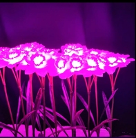 Lampe LED extérieure IP65 étanche 10W en forme de roses, blanc chaud, en plastique, pour décoration de mariage et de jardin