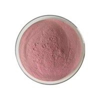 Poudre de Fraise pour Boissons et Transformation Alimentaire