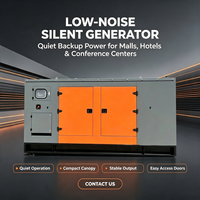 Générateur diesel silencieux 50 kW pour le nettoyage de voitures en libre-service et le gonflage des pneus