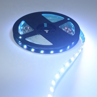 Bande LED adressable WS1903 DC12V IP67/IP20 Corps en cuivre Couleurs changeantes Contrôle individuel Flexible pour l'éclairage paysager