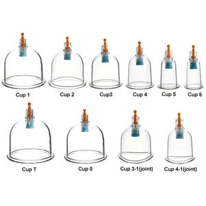 PZ Personalizado Hijama Cupping Ferramentas Corpo Ce OEM Face Cupping Cup Para Hijama