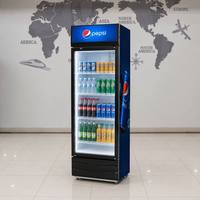 Congélateur vertical vitrine pour boissons, réfrigérateur pour boissons gazeuses