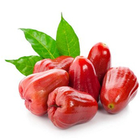 Voedingsmiddelenklasse hoogwaardig fruitextract oplosmiddel-extractie concentraat sappoeder vitamine was appelpoeder