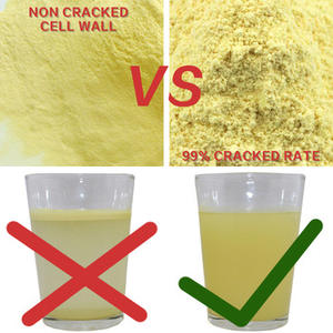 QINSHANTANG 소나무 꽃가루 분말 세포벽 파쇄 소나무 꽃가루 핀우스 분말 20:1 보충제 벌크 소나무 꽃가루 추출물 분말 - Product Image 3