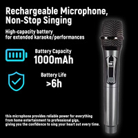 Sistema de Micrófono Inalámbrico de Mano de Alta Calidad de 2.4G para Actuaciones en Escenario, Karaoke, Discursos en Iglesias, Sesiones de KTV