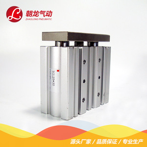 Zhaolong Pneumatic TcL25 30 Standard Cylinder Aluminum Body <b>12</b> Cylinders For Industrial Use - Product Image 2