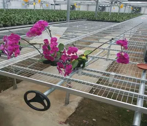 Wire Mesh Wire Rolling Benches Seedbed For Agricultural Commercial Greenhouse Mesh Net Nursery Seedbed