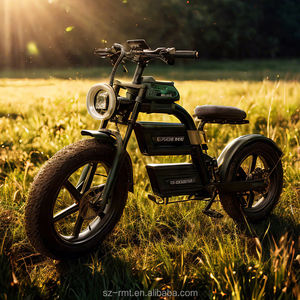 Vélo de montagne électrique pour adultes de 20 pouces, batterie au lithium sportive, frein à disque, 2500W 60V 70KM, moteur à moyeu arrière sans balais, 7 vitesses, assistance au pédalage - Product Image 1