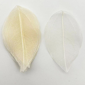 Fiori Conservati Fatti a Mano per San Valentino, Foglie Naturali Scheletrizzate, Vene delle Foglie, Piccola Magnolia per Scrapbooking e Creazione di Biglietti Floreali - Product Image 4