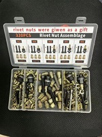 Kit de 310 écrous à riveter avec outil manuel, jeu d'écrous à insertion M3-M8 pour réparation automobile