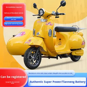 Motocicleta Eléctrica de Tres Ruedas con Sidecar Rome Holiday, Scooter Baga para Turismo y Desplazamientos, 40-50 km/h, Autonomía de más de 65 km - Product Image 4
