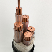 Kabel Daya Guda SHF1 Material Wire 3 Core 2.5mm^2 Isolasi XLPE Selubung Xlpo Berlapis Baja