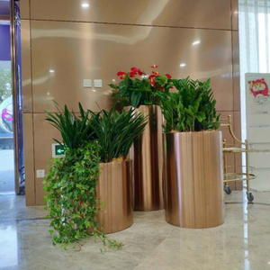 Thêm Lớn Thép Không Gỉ Vườn Cây Nhà Máy Nồi Với Vàng Kim Loại Sàn Bình Sử Dụng Trong Nhà Cho Ngoài Trời Trong Nhà Trang Trí Nồi Khay - Product Image 3