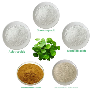 Extracto Natural de <span class=keywords><strong>Hydrocotyle</strong></span> Centella Asiatica CAS 84696-21-9 Incluye Asiaticoside, Ácido Snowdrop, Madecassoside y Glicósidos Totales - Product Image 4