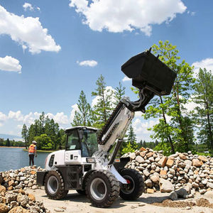 Pompa Motor dengan lengan teleskopik diartikulasikan fleksibel yang ditingkatkan 4x4 "muatan roda Mini 1 Ton Bucket kondisi baru - Product Image 6