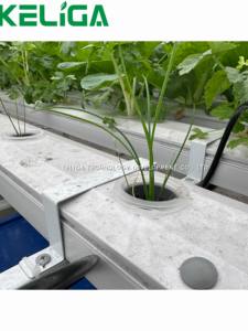 Système hydroponique de culture de fraises d'intérieur écologique pour l'agriculture Serre Système hydroponique d'irrigation à tuyau carré NFT - Product Image 3