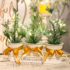 PERFNIQUE Grande jardinière d'intérieur/d'extérieur pour plantes aromatiques Pots de fenêtre en métal pour ferme Plateau de rebord de fenêtre comprenant uniquement une jardinière - Product Image 6