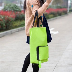 Bolsa de Compras Plegable con Ruedas, de Gran Capacidad, Extensible, para Supermercado, Compras de Verduras, Uso Doméstico - Product Image 6