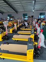 Mini transpalette électrique tout-terrain 300 kg avec batterie complète et nouveau moteur pour utilisation en restauration et commerce de détail