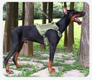 Rarewe Manufacturer Wholesale Heavy Duty No Pull High Quality Tactical Dog <strong>Harness</strong> for Large Dogs With Handle - Product Image 5