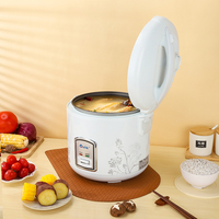 Olla Arrocera Eléctrica Blanca al por Mayor - 2L-6L, Olla Interior Antiadherente Inteligente, Eficiente Energéticamente A+, Suministro de Fábrica, Taza Medidora