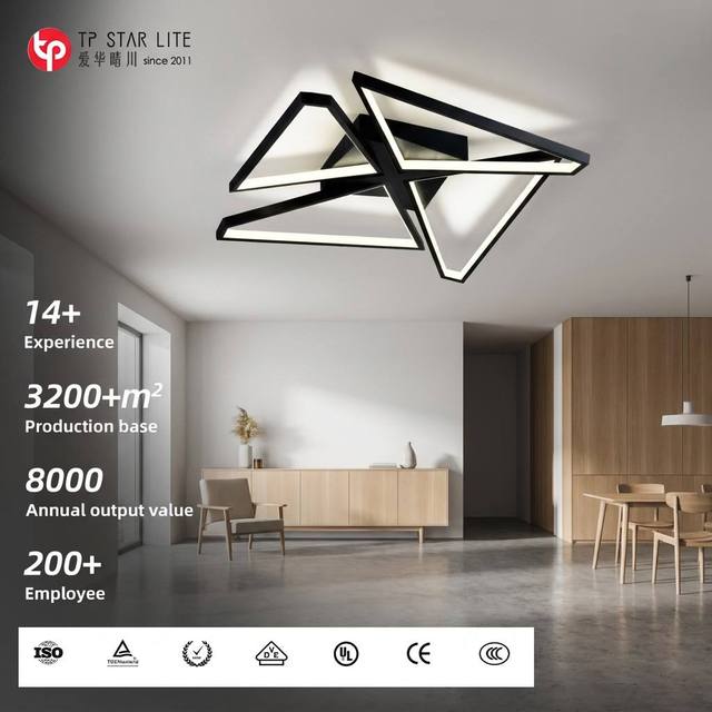 Postmodern Creative Geometric Acrylic Line Black Ceiling Lamp Nordic Minimalist Living Room LED Ceiling Lamp