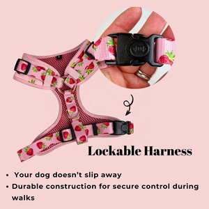 Escape Proof Strawberry Prin Pet <span class=keywords><strong>Harness</strong></span> Leash Bag Set Colete Ajustável Luxo Personalizado Sem Pull Dog <span class=keywords><strong>Cat</strong></span> <span class=keywords><strong>Harness</strong></span> - Product Image 4