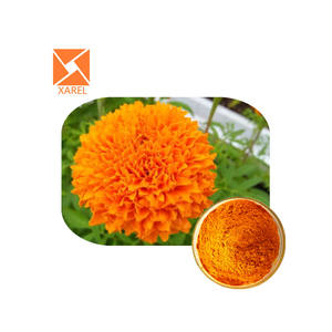 天然ルテイン5% マリーゴールドエキスZeaxanthinルテイン粉末バルク - Product Image 3