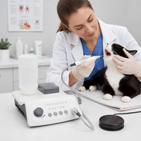 Détartreur dentaire ultrasonique avec entrée 100V 240V et sortie stable pour usage vétérinaire (chiens et chats)