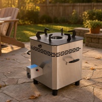 Poêle à gazéification du bois à haute efficacité avec assistance aérienne, garde-vent galvanisé et alimentation en air secondaire pour la cuisson en jardin ou en extérieur