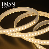 Bande lumineuse intelligente à prix avantageux, 120 LED/m, étanche IP65 pour décoration extérieure, SMD 2835, AC 110V-260V, dimmable, CRI élevé 80-90
