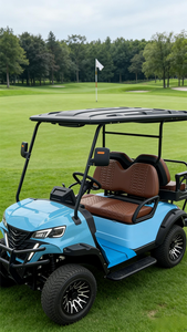 Voiturette de golf électrique 4 places promotionnelle du fabricant - Design compact, voiturette de golf électrique pour routes non publiques - Product Image 2