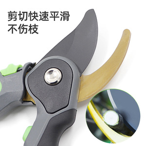Bypass Pruning <b>Shears</b> Carbon Steel 10-20 Mm Cutting Capacity Garden <b>Tool</b> For Fruit Tree Flower Trimming - Product Image 1
