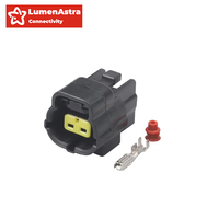 Connecteur de capteur étanche IP68 à 2 broches 174352-2 AMP TE 3A pour connexions électriques automobiles, injecteur de carburant