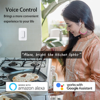 अमेरिका ब्रिटेन मानक अधिकतम 1000w 2.4ghz डबल स्लाइड वायरलेस tuya वाईफ़ाई 0-10v एलईडी प्रकाश टच स्मार्ट घर dimmer स्विच