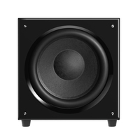 12 inç 300W Güçlü Aktif Subwoofer Siyah Ev Sineması için OEM/ODM