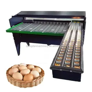 5 Row Lane Chicken Egg Washer Sorter Scale and Grader Weigh Inspection 10000 pcs/h Duck Egg Grading Packing Machine for Sale