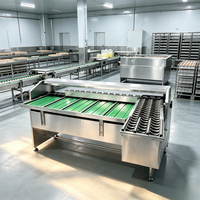 Machine de triage automatique des œufs par poids, type à rouleaux en acier inoxydable 304, pour l'élevage avicole et le traitement des œufs