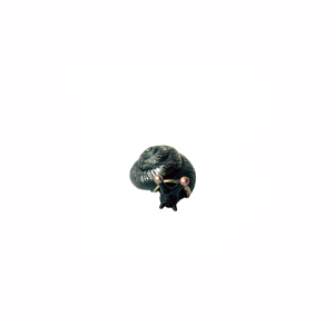 3 Styles Harry de <span class=keywords><strong>Hermione</strong></span> Escargot Jeter Pierre Prop Pierre Résine Escargot Magie Prop - Product Image 2
