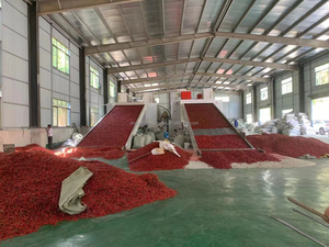 Hot bán trái cây và rau quả thực phẩm cá năng lượng mặt trời thực phẩm máy sấy Ớt nóng máy sấy - Product Image 2