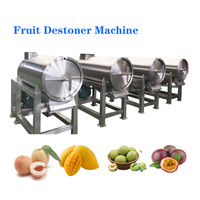 Multifunctionele Plc-Gecontroleerde Roestvrijstalen Sappulp Verwerkingslijnmachine Voor Mango/Passievrucht/Perzik/Pruim/Abrikoos