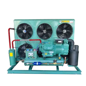 Unité de condensation de compresseur refroidi par air de l'usine 3hp 5hp 6hp 10hp Allemagne pour la réfrigération de système de refroidissement