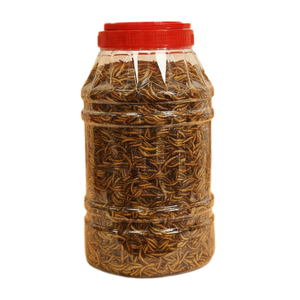 Vermi Gialli Essiccati Biologici ad Alto Contenuto Proteico Senza Cereali (<span class=keywords><strong>Tenebrio</strong></span> Molitor) per Alimenti per Pesci e Cani - Snack Naturale di Alta Qualità per Animali Domestici - Product Image 2