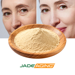 Органический экстракт женьшеня в порошке Herbal Roots, растительная добавка, веганский, без глютена, пищевой класс GMP, вакуумная упаковка в барабанах, с возможностью индивидуального заказа - Product Image 1