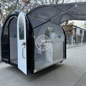 ZZKNOW <span class=keywords><strong>Mini</strong></span> remorque de restauration mobile entièrement équipée, petit chariot de nourriture, boutique de boissons mobiles, camion de nourriture pour la vente de glaces - Product Image 6