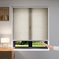 Persianas Enrollables Inalámbricas Manuales ZSTARR, Cortinas de Tela con Filtro de Luz para Ventanas, para Interiores del Hogar, Sala de Estar, Oficina, Cuarto de Niños