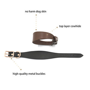 Collar ancho acolchado para perros, collares de cuero genuino para galgos italianos Lurchers - Product Image 2