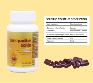 Kapsul Softgel Bubuk Cordyceps Militaris Ekstrak Konsentrat untuk Peningkatan Energi & Stamina Pria Dewasa - Product Image 2
